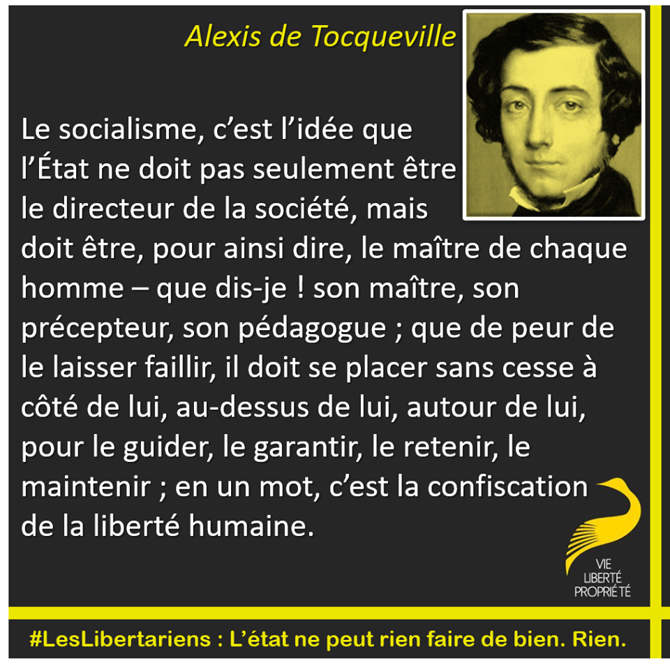 Fichier:Tocqueville-socialisme.png — Wikiberal