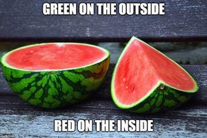 Green-red-inside.jpg